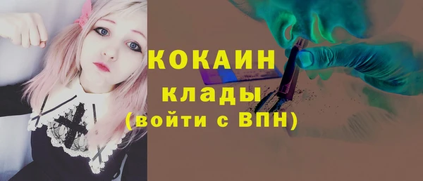 дмт Абаза