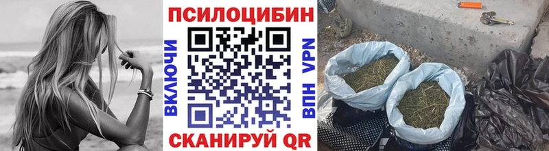 как найти наркотики  blacksprut как зайти  Галлюциногенные грибы ЛСД  Туран 